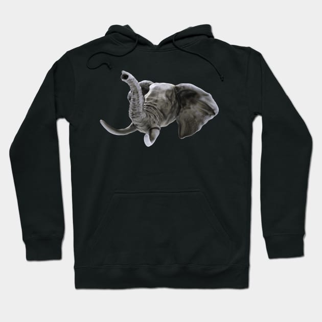 Elephant Render Hoodie by JonHale